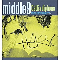 ｍｉｄｄｌｅ　９「 Ｃｅｔｔｉａ　ｄｉｐｈｏｎｅ」