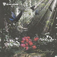 ＧＡＬＥＹＤ「 Ｄｅｓｔｉｎｙ」