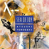 横関敦「 ＳＥＡ　ＯＦ　ＪＯＹ」