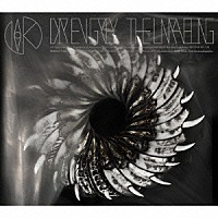 ＤＩＲ　ＥＮ　ＧＲＥＹ「 ＴＨＥ　ＵＮＲＡＶＥＬＩＮＧ」