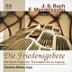 椎名雄一郎「平和の祈り　ライプツィヒ聖トーマス教会のバッハ・オルガン」