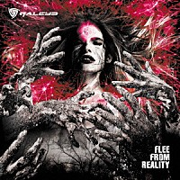 ＧＡＬＥＹＤ「 ＦＬＥＥ　ＦＲＯＭ　ＲＥＡＬＩＴＹ」