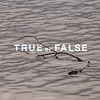 ｉ　ＧＯ「 ＴＲＵＥ　ｏｒ　ＦＡＬＳＥ」