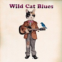 ｆｌｅｘｌｉｆｅ「 Ｗｉｌｄ　Ｃａｔ　Ｂｌｕｅｓ」