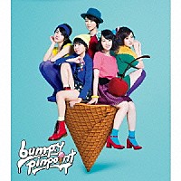 ｂｕｍｐ．ｙ「 ｐｉｎｐｏｉｎｔ」