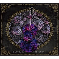 Ｃａｎｔｈａｎａ「 Ｃｅｌｌｍａｔｅ」