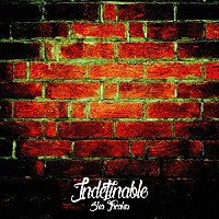 ＳＫＡ　ＦＲＥＡＫＳ「 Ｉｎｄｅｆｉｎａｂｌｅ」