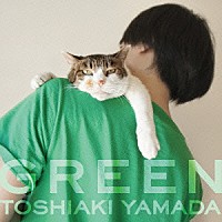 山田稔明「 緑の時代」