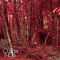 ＮＯＢ「 Ｏｕｔｆｌｏｗ」