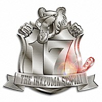 ＴＨＥイナズマ戦隊「 １７」