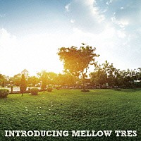 （Ｖ．Ａ．）「 ＩＮＴＲＯＤＵＣＩＮＧ　ＭＥＬＬＯＷ　ＴＲＥＳ」