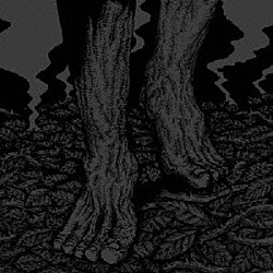 ＴＨＯＲＮ「棘。時に苦悩．．．」