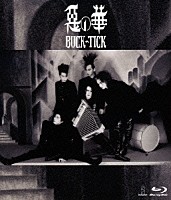 ＢＵＣＫ－ＴＩＣＫ「 惡の華　－Ｃｏｍｐｌｅｔｅｗｏｒｋｓ－」