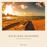 （ワールド・ミュージック）「 エンドレス・サマー　～ハワイ、永遠の夏～」