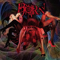 ＢＯＲＮ「 オルタナティヴ・タランチュラ」