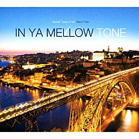 （Ｖ．Ａ．）「 ＩＮ　ＹＡ　ＭＥＬＬＯＷ　ＴＯＮＥ　１１」