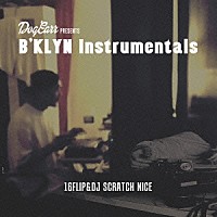 １６ＦＬＩＰ　＆　ＤＪ　ＳＣＲＡＴＣＨ　ＮＩＣＥ「 Ｂ’ＫＬＹＮ　ＩＮＳＴＲＵＭＥＮＴＡＬＳ」