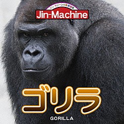 Ｊｉｎ－Ｍａｃｈｉｎｅ「ゴリラ」