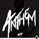 ＳＴＥＲＥＯ　ＪＡＰＡＮ「ＡＮＴＨＥＭ」