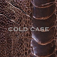 ｖｉｓｔｌｉｐ「 ＣＯＬＤ　ＣＡＳＥ」