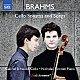 （クラシック） ガブリエル・シュヴァーベ ニコラス・リンマー「ブラームス：チェロ・ソナタ＆チェロで奏でる歌曲集」