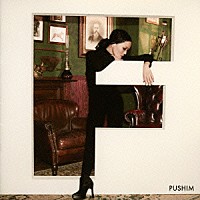 ＰＵＳＨＩＭ「 Ｆ」