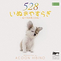 ＡＣＯＯＮ　ＨＩＢＩＮＯ「 いぬのやすらぎ～愛の周波数５２８Ｈｚ～」