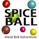 ＭＥＡＴ　ＢＡＬＬ　ＡＤＶＥＮＴＵＲＥ「ＳＰＩＣＥ　ＢＡＬＬ」