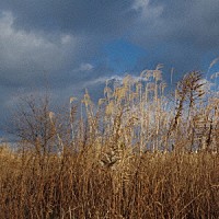 ＴＨＥ武田組「 人生を超えろ」