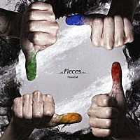 ＮｏｉｓｙＣｅｌｌ「 Ｐｉｅｃｅｓ」