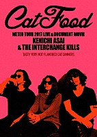 浅井健一＆ＴＨＥ　ＩＮＴＥＲＣＨＡＮＧＥ　ＫＩＬＬＳ「 ＭＥＴＥＯ　ＴＯＵＲ　２０１７　ＬＩＶＥ　＆　ＤＯＣＵＭＥＮＴ　ＭＯＶＩＥ“ＣＡＴ　ＦＯＯＤ”」