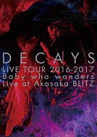 ＤＥＣＡＹＳ「 ＤＥＣＡＹＳ　ＬＩＶＥ　ＴＯＵＲ　２０１６－２０１７　Ｂａｂｙ　ｗｈｏ　ｗａｎｄｅｒｓ　Ｌｉｖｅ　ａｔ　Ａｋａｓａｋａ　ＢＬＩＴＺ」