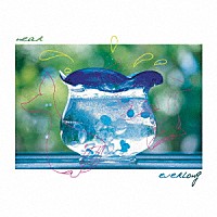 ｅｖｅｒＬｏｎｇ「 ｎｅａｒ」