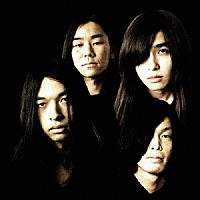 ＧＲＡＳＡＭ　ＡＮＩＭＡＬ「 ＡＮＩＭＡＬ　ＰＹＲＡＭＩＤ」