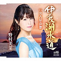 野村美菜「 伊良湖水道」