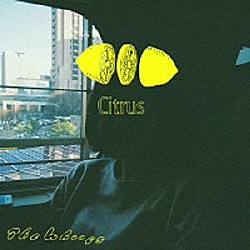 Ｔｈｅ　Ｗｈｏｏｐｓ「Ｃｉｔｒｕｓ」