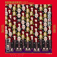 ｈｙ４＿４ｙｈ「 ＳＨＩＢＡＨＡＭＡＸ～シバハマだいたいこんなかんじ」