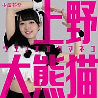 小泉花恋「 上野大熊猫」