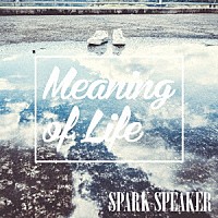 ＳＰＡＲＫ　ＳＰＥＡＫＥＲ「 Ｍｅａｎｉｎｇ　ｏｆ　Ｌｉｆｅ」