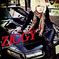 ＺＩＧＧＹ「 君の笑顔より美しい花を知らない」