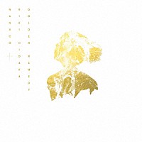 ＮＡＮＡＣＯ　＋　ＲＩＫＩ　ＨＩＤＡＫＡ「 ＧＯＬＤＥＮ　ＲＥＭＥＤＹ」