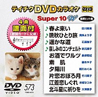 （カラオケ）「 テイチクＤＶＤカラオケ　スーパー１０　Ｗ」