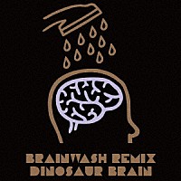 ＤＩＮＯＳＡＵＲ　ＢＲＡＩＮ「 ＢＲＡＩＮＷＡＳＨ」