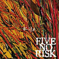 ＦＩＶＥ　ＮＯ　ＲＩＳＫ「 Ｋｉｔｅ」