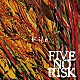 ＦＩＶＥ　ＮＯ　ＲＩＳＫ「Ｋｉｔｅ」