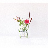 ＴＡＭＩＷ「 ｆｌｏｗｅｒ　ｖａｓｅｓ」