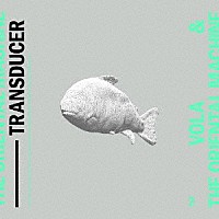 ＶＯＬＡ　＆　ＴＨＥ　ＯＲＩＥＮＴＡＬ　ＭＡＣＨＩＮＥ「 Ｔｒａｎｓｄｕｃｅｒ」