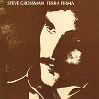 スティーヴ・グロスマン「 テラ・ファーマ」