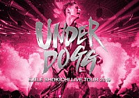 ＥＸＩＬＥ　ＳＨＯＫＩＣＨＩ「 ＥＸＩＬＥ　ＳＨＯＫＩＣＨＩ　ＬＩＶＥ　ＴＯＵＲ　２０１９　ＵＮＤＥＲＤＯＧＧ」