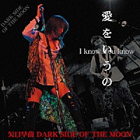 矢口早苗ＤＡＲＫ　ＳＩＤＥ　ＯＦ　ＴＨＥ　ＭＯＯＮ「 愛をいうの～Ｉ　ｋｎｏｗ　Ｙｏｕ　ｋｎｏｗ～」